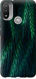 

Чохол Колоски на Motorola E20 1580147