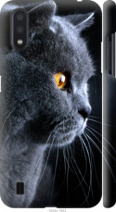 Чехол Красивый кот для Samsung Galaxy A01 A015F
