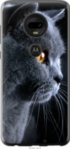 Чехол Красивый кот для Motorola Moto G7 Plus