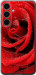 Чехол Красная роза для Samsung Galaxy S24 FE