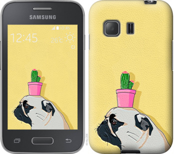 

Чехол Мопс с кактусом для Samsung Galaxy Young 2 G130h 795448