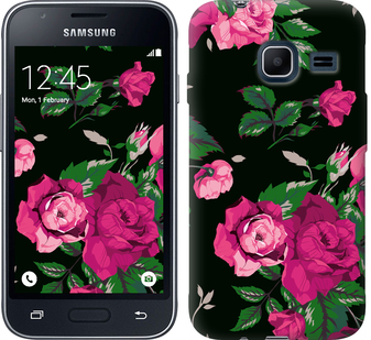 

Чохол Троянди на чорному тлі на Samsung Galaxy J1 Mini J105H 546863