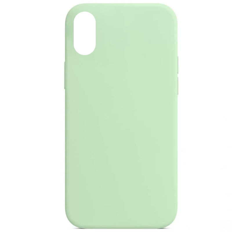 Чехол Silicone Case Full Protective (AA) NO LOGO для Apple iPhone X / XS (5.8") (Зеленый / Pistachio)