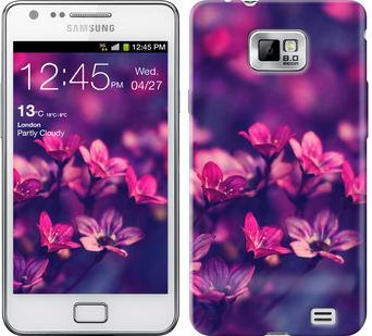 

Чохол Пурпурні квіти на Samsung Galaxy S2 i9100 176451
