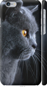 Чехол Красивый кот для iPhone 6 (4.7'')