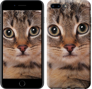 

Чехол Полосатый котик для iPhone 8 Plus 659458
