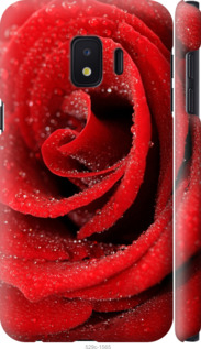 

Чохол Червона троянда на Samsung Galaxy J2 Core 948407