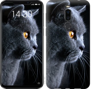

Чехол Красивый кот для Meizu X8 762621