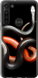 

Чехол Красно-черная змея на черном фоне для Motorola G8 Power 1685275