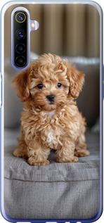 Чехол Mini-maltipoo для Realme 6