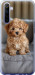 Чехол Mini-maltipoo для Realme 6
