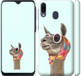 

Чохол Модна лама на Samsung Galaxy M20 752996