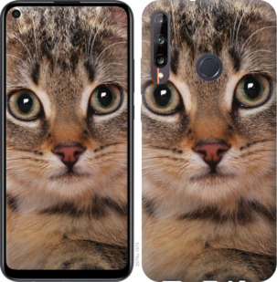 

Чехол Полосатый котик для Huawei P40 Lite E 933908