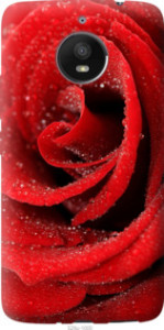 Чехол Красная роза для Motorola Moto E4 Plus