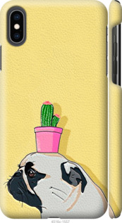 

Чехол Мопс с кактусом для iPhone XS Max 795302