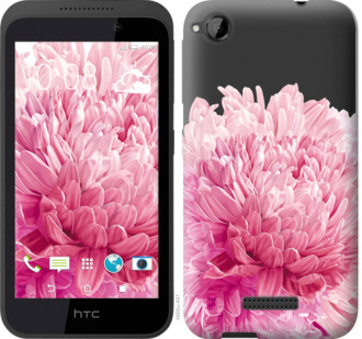 

Чехол Хризантема для HTC Desire 320 844235
