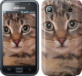 

Чехол Полосатый котик для Samsung Galaxy S i9000 175513