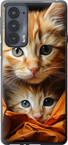 Чехол Котики 2 для Motorola Edge 20