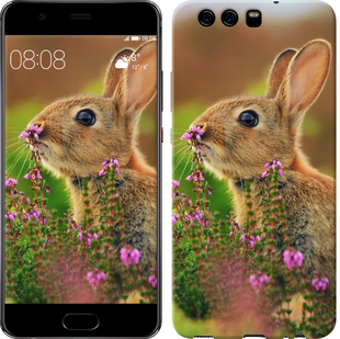 

Чохол Кролик і квіти на Huawei P10 150102