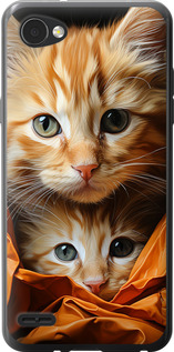Чохол Котики 2 на LG Q6