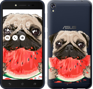 

Чохол Мопс і кавун на Asus ZENFONE Live ZB501KL 843955