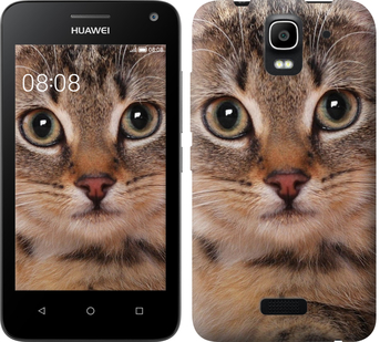 

Чохол Смугастий котик на Huawei Ascend Y3C 175817
