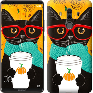 

Чехол Осенний кот для Huawei Mate 10 Pro 639852