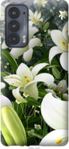 Чехол Белые лилии для Motorola Edge 20