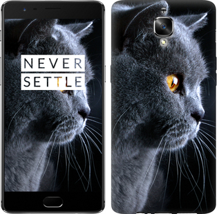 

Чохол Гарний кіт на OnePlus 3T 687628