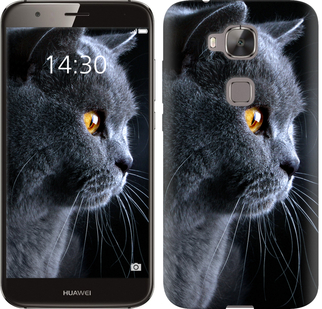

Чохол Гарний кіт на Huawei G7 Plus 242653