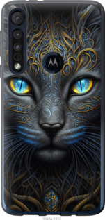 Чохол Узорчата кішка на Motorola One Macro