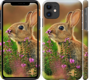 

Чехол Кролик и цветы для iPhone 11 781383