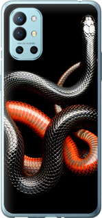 

Чехол Красно-черная змея на черном фоне для OnePlus 9R 1685251