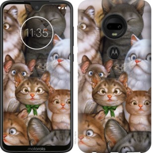 Чохол коти на Motorola Moto G7