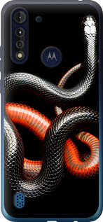 

Чехол Красно-черная змея на черном фоне для Motorola G8 Power Lite 1685276