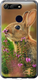 

Чехол Кролик и цветы для Huawei Honor View 20 781397