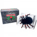 Замовити Павук на радіокеруванні SHT FY878 Tarantula 2.4G (Black) на vchehle.ua