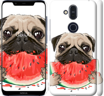 

Чехол Мопс и арбуз для Nokia 8.1 843963