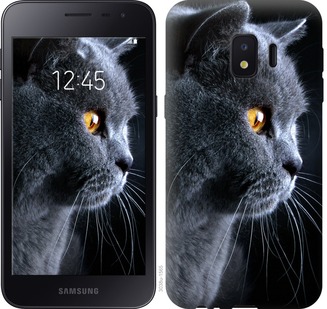 

Чохол Гарний кіт на Samsung Galaxy J2 Core 667224