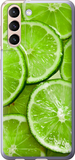 

Чохол Лайм на Samsung Galaxy S21 1691756