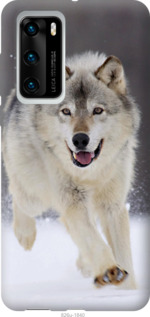 

Чехол Бегущий волк для Huawei P40 958104
