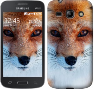 Чехол Рыжая лисица для Samsung Galaxy Star Advance G350E