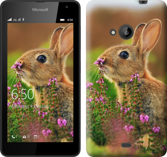 

Чохол Кролик і квіти на Microsoft Lumia 535 150160