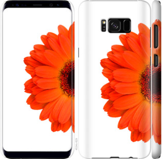 

Чехол Гербера 1 для Samsung Galaxy S8 802314