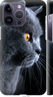 

Чехол Красивый кот для iPhone 14 Pro Max 1482443