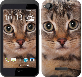 

Чохол Смугастий котик на HTC Desire 320 175592