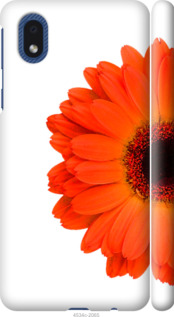 

Чехол Гербера 1 для Samsung Galaxy M01 Core 1589527