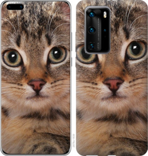 

Чохол Смугастий котик на Huawei P40 Pro 933909