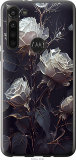 Чехол Розы 2 для Motorola G8 Power