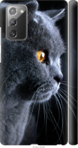 Чехол Красивый кот для Samsung Galaxy Note 20